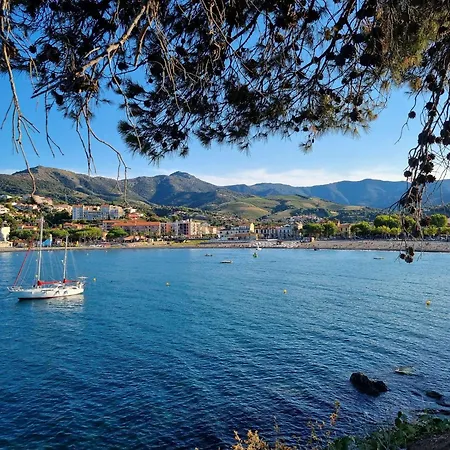 Triplex 3 Pieces Pres De La A Banyuls-sur-mer, Parking, 4 Personnes - Fr-1-225c-156 Apartment *